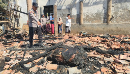 Kandang Sapi di Ketapang Sampang Terbakar, Dua Ekor Sapi Mati dan Kerugian Capai Rp45 Juta