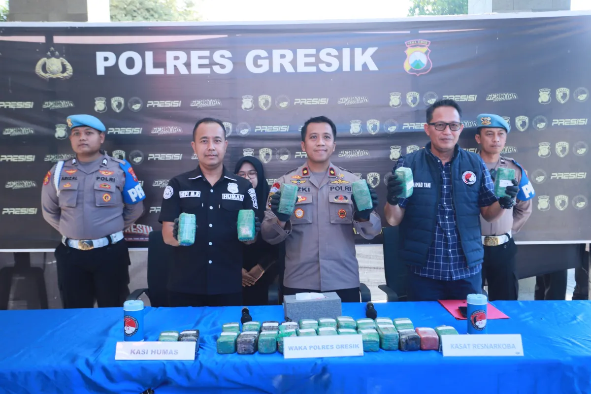 Polres Gresik  Sita 10,8 Kg Ganja di Gudang Ekspedisi